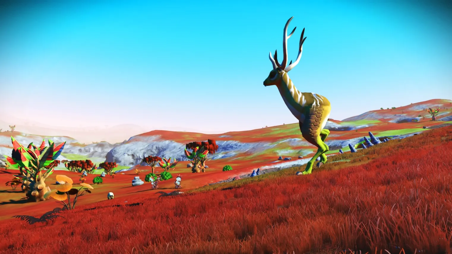 Animaux sur deux pattes