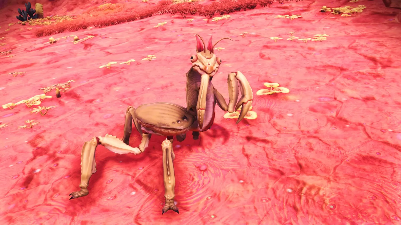 MASSACRE DE CRABARAIGNEES