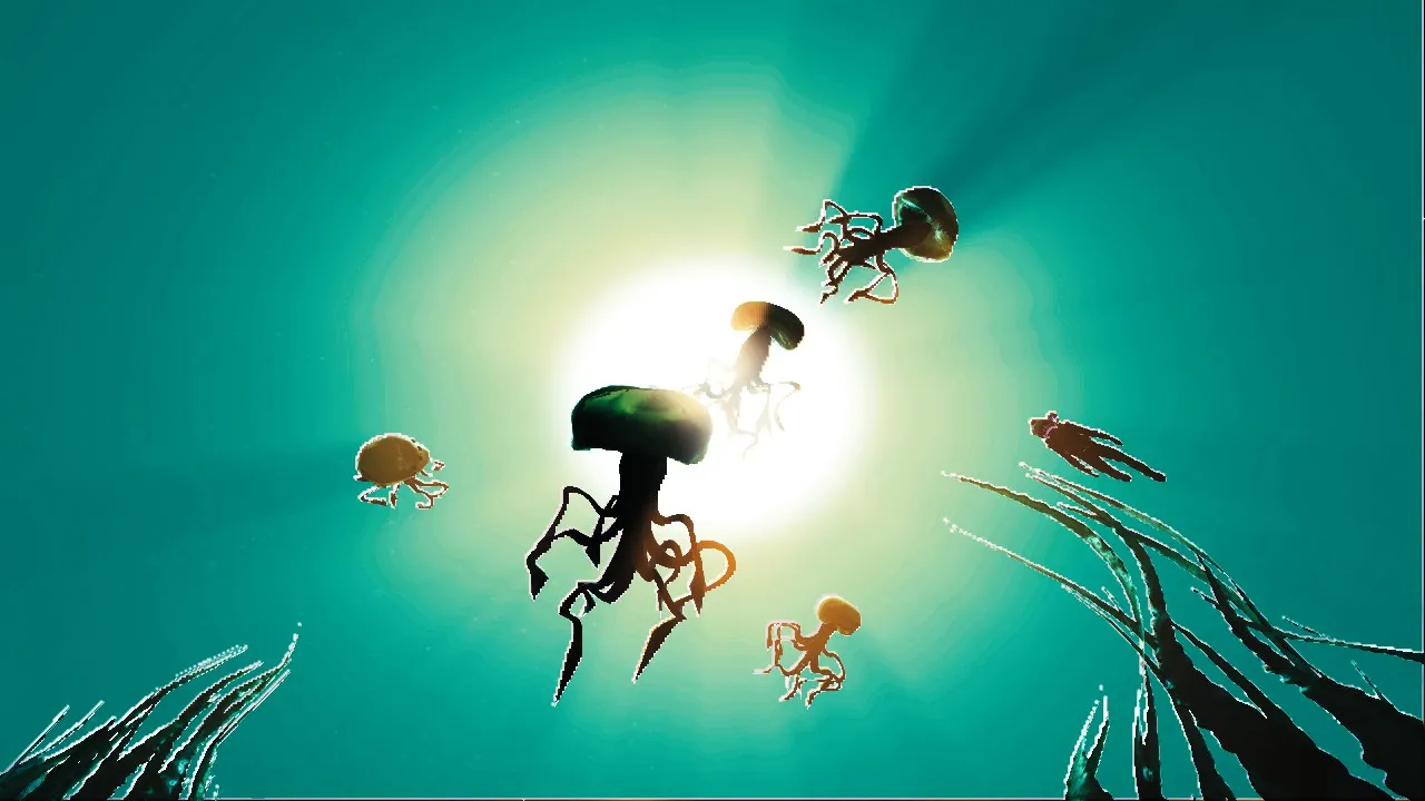 Animaux sous-marins divers