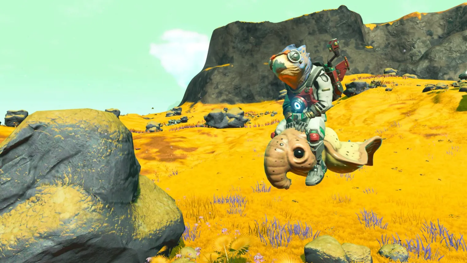 Animal de compagnie volant