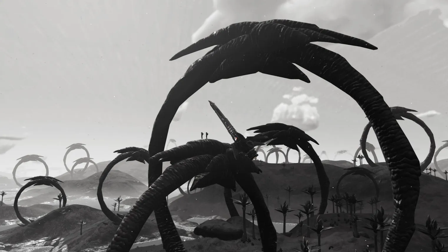 Atterrissage insolite