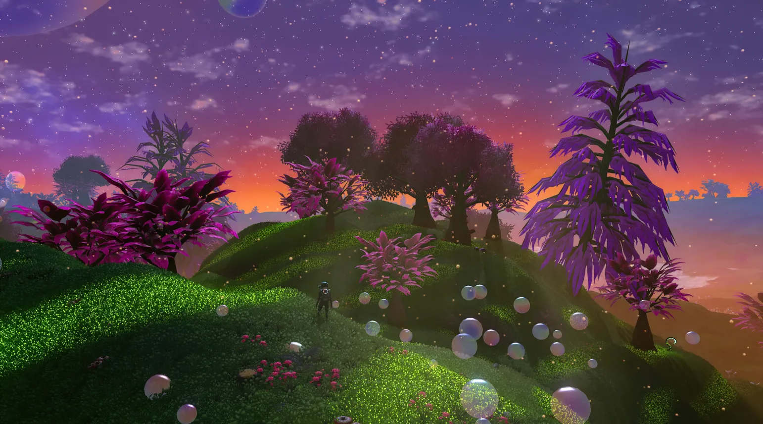 Photo de votre biome préféré