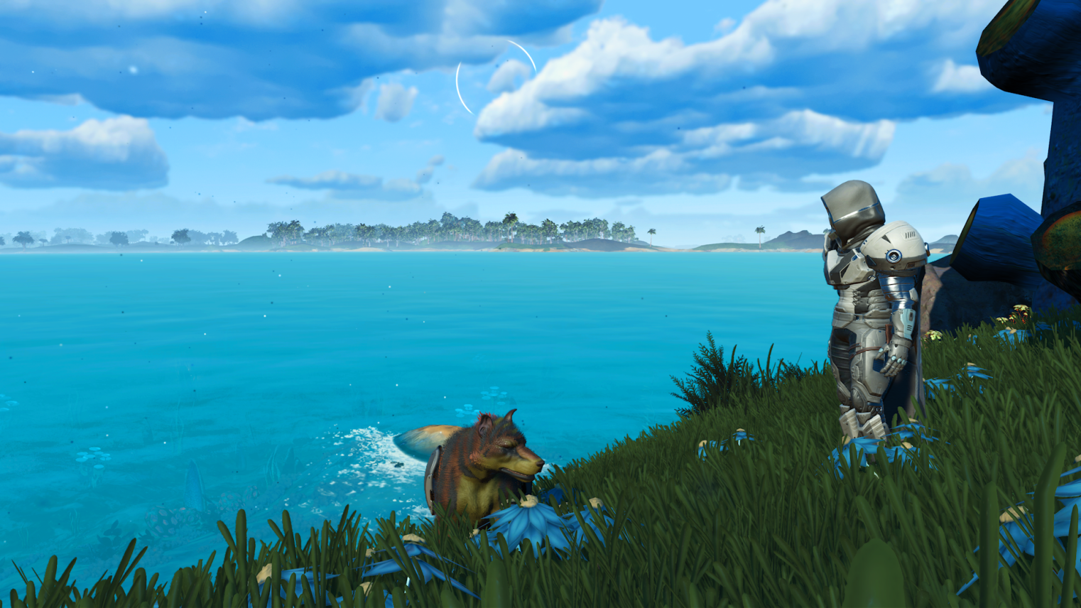 personnage sur sa planète préférée avec ton pet préféré