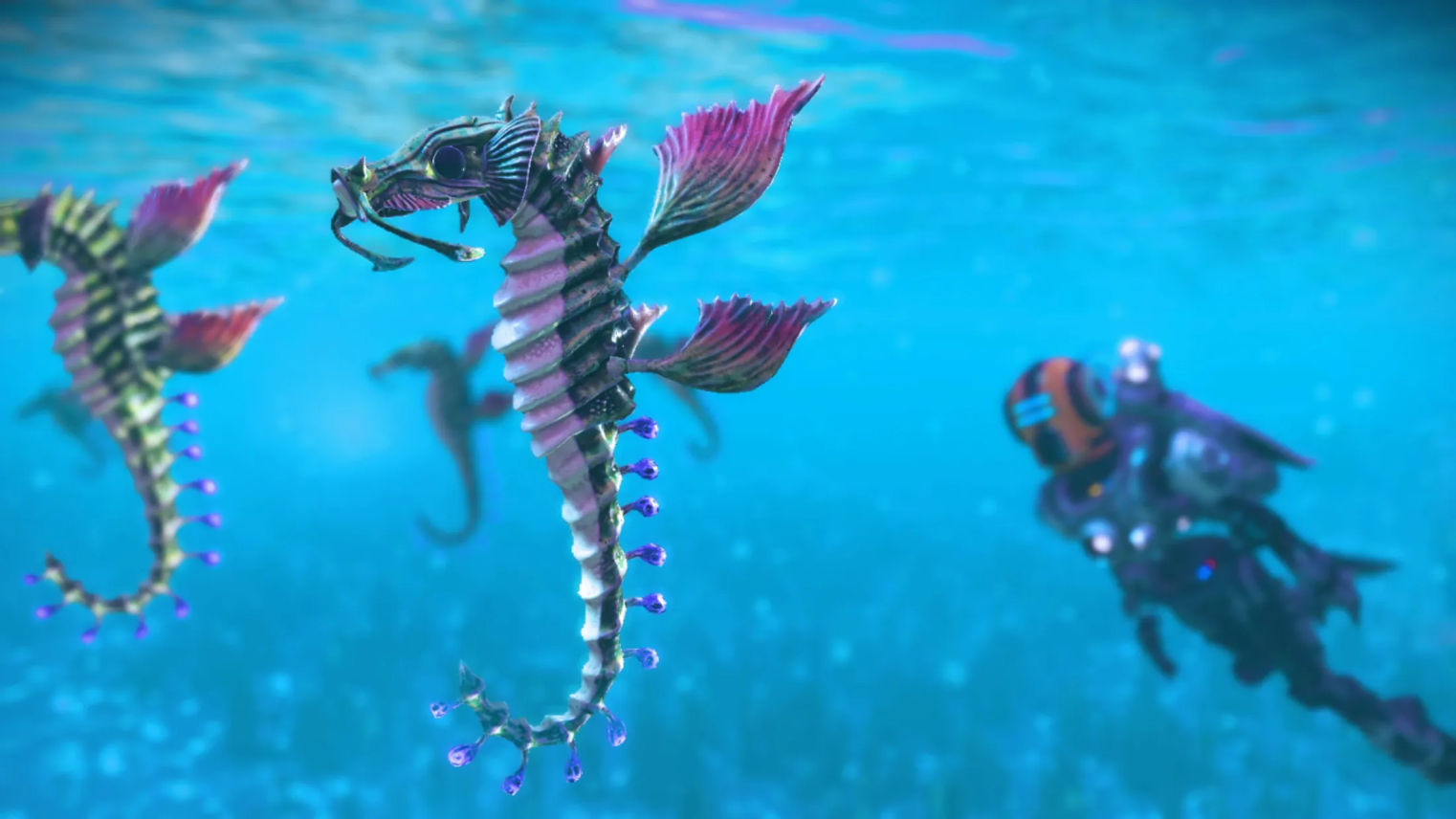 Faites nous découvrir une créature marine splendide, amusante et/ou terrifiante