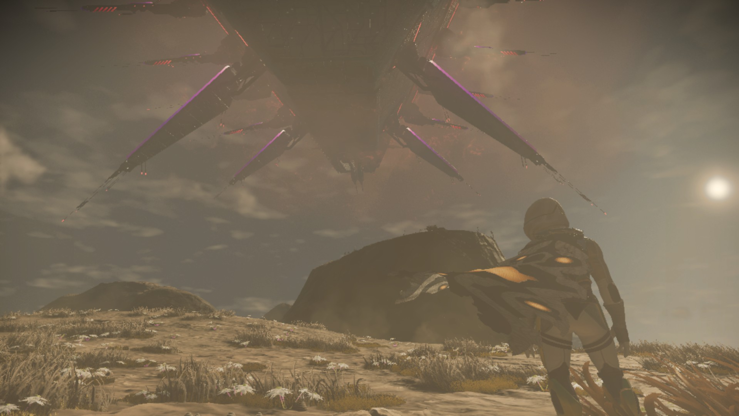 Screenshot de son cargo (dans l'espace ou dans la base de cargo)